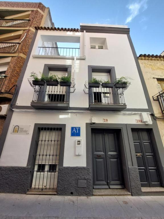 Apartamentos San Salvador Parking Gratis Mérida Eksteriør bilde